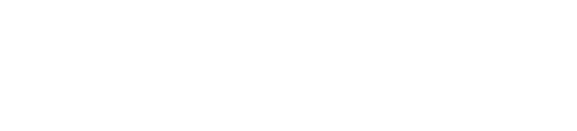 VEVE Logo weiß